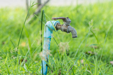 Hydrants in the park
