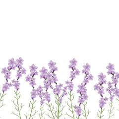 Realistic lavender flower vector illustration