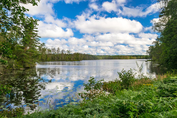 Typical Swedish lake in summer season
