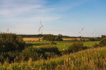 Wind turbine farm with blue sky