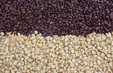 coffee beans