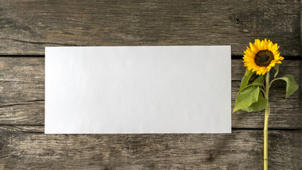 Blank white card or sheet of  paper with copyspace for your text on old textured rustic wooden planks and beautiful blooming sunflower on the right side.