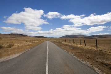 Desert road through grass palins