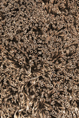 Detailaufnahme von einem Insektenhotel - Schlupflöcher als Hintergrund-Textur