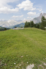 mountain landscape