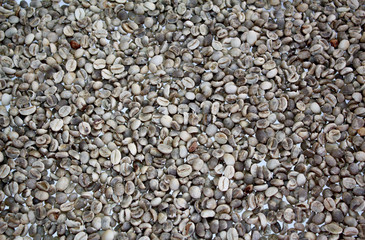 coffee beans