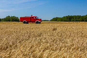 Obraz premium View over a field with mature wheat at farmland.