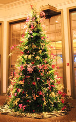 Fototapeta na wymiar Christmas Tree made of Orchids