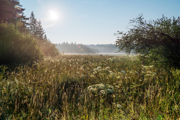 Etang de la gru&egrave;re