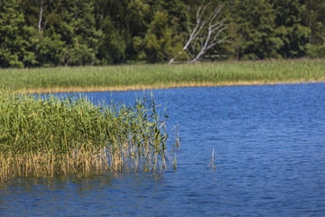 Goldopiwo lake on Masuria in Poland.