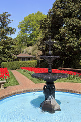 Concord Memorial Gardens Water Fountain and Red Tulips