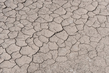 Crack soil on dry season