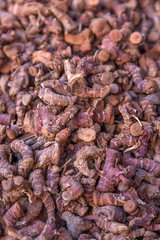 Herbs at market in Marrakesh, Morocco