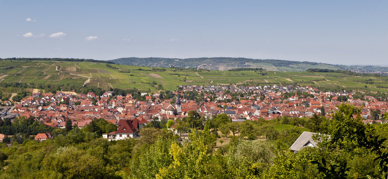 ROSHEIM vue panoramique 229