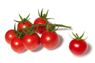 Branch of cherry tomatoes isolated on white