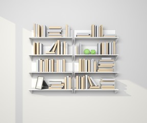 Modern bookshelf.