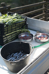 scodelle di mangiare per i pellicani