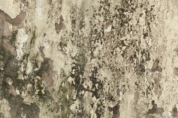 Cracks of the cement wall