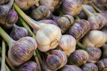 Fresh garlic