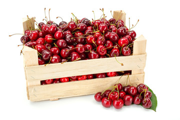 Sweet cherries (Prunus avium) in wooden crate