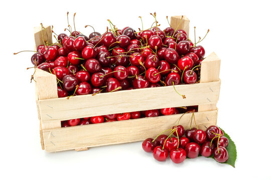 Sweet cherries (Prunus avium) in wooden crate