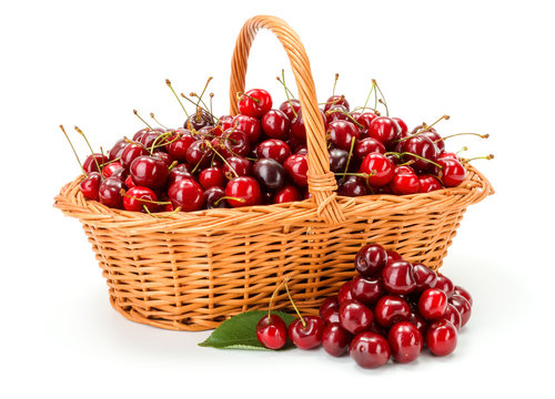 Sweet cherries (Prunus avium) in wicker basket