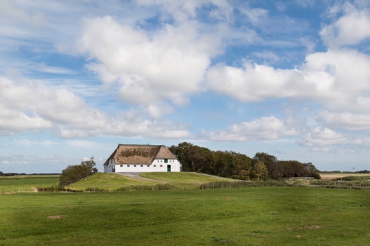 Warft 이미지 찾아보기 813 스톡 사진, 벡터 및 비디오 Adobe Stock