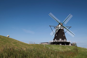 Fototapeta na wymiar Windmühle Pellworm