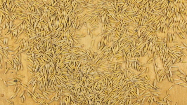 oats falling on the wooden background, top view
