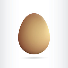 single brown egg isolated