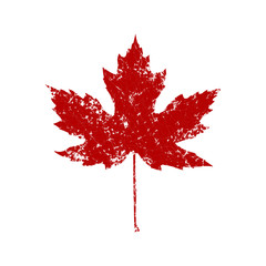 Autumnal Maple Leaf splash silhouette