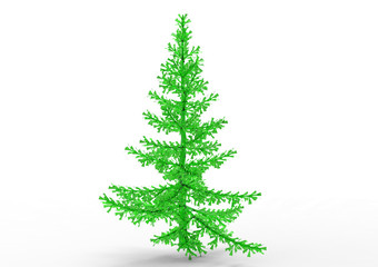 spruce  pine tree isolated on white