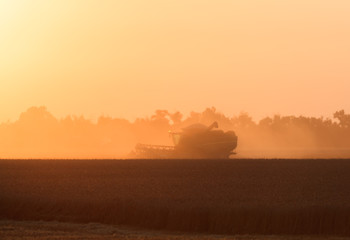 Harvesting at sunset