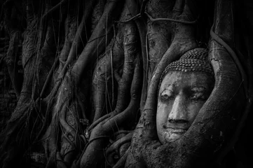 Gartenposter Buddha  buddha face