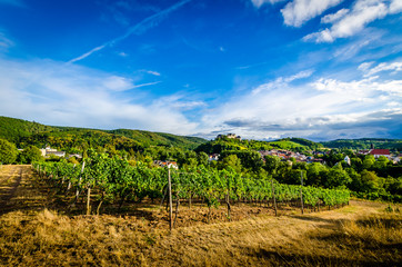 Obraz premium Bad Münster am Stein Ebernburg