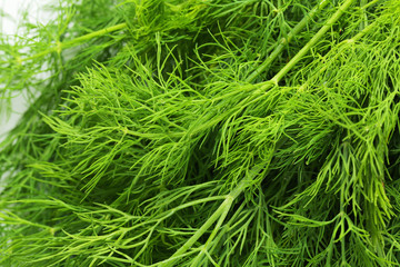Fresh dill weed