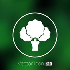 Broccoli abstract isolated on a white backgrounds