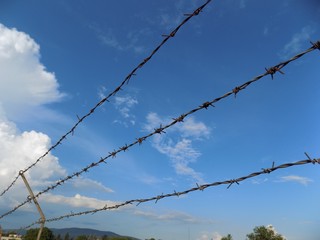 Barbed wire