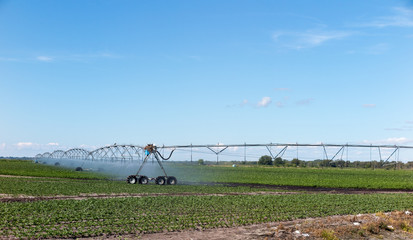 Farmland