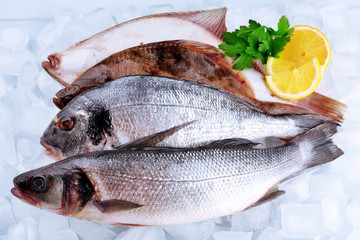 Fresh fishes with lemon on ice background