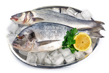 Fresh fishes with lemon and ice on metal tray isolated on white