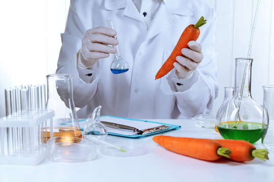 Scientist examines carrots in laboratory