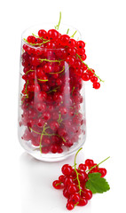 Fresh red currants in glass isolated on white