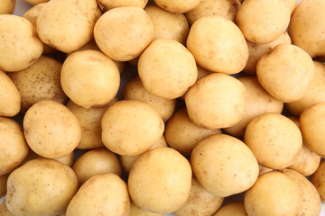 Young potatoes close up