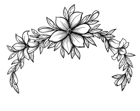 Beautiful graphic drawing Lily branch with leaves and buds of the flowers.