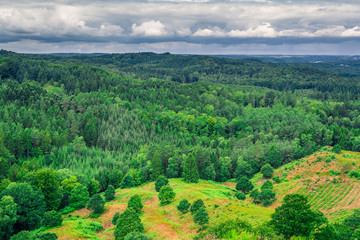 Danish landscape with green trees
