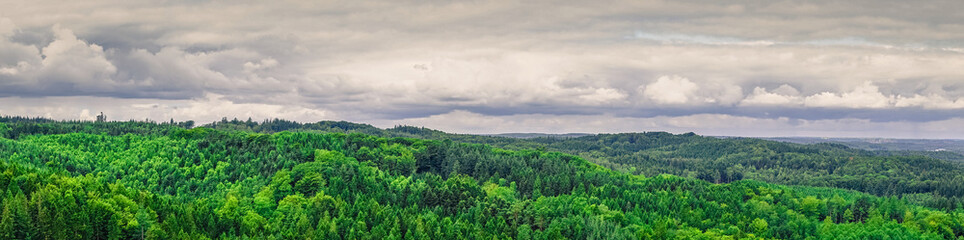 Obraz premium Panorama landscape from Denmark