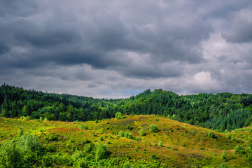 Fototapeta na wymiar Dark clouds hanging over green nature