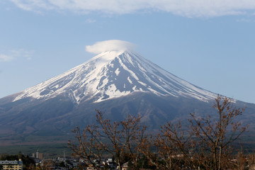 Obraz premium Cherry blossoms is not blooming and view of Mount Fuji.