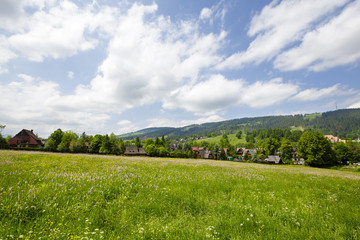 Meadows and fields in the town of Zakopane